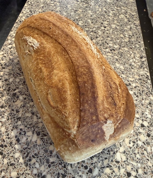 Tunisbrød